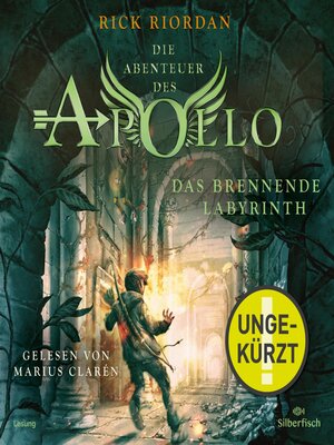 cover image of Das brennende Labyrinth